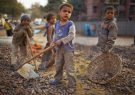 نیمی از مردم دنیا در معرض فقیرتر شدن به دلیل شیوع کرونا