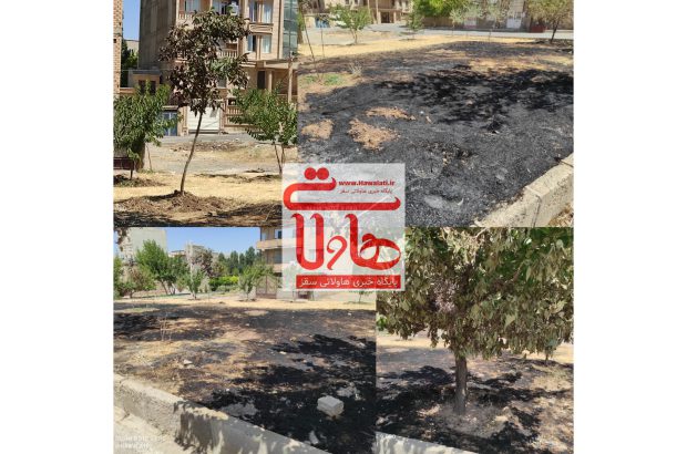 آتش زدن علفهای هرز به جان درختان بوستان شهید آوینی شهرک دانشگاه افتاد