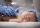 میزان مرگ و میر نوزادان در سقز کمتر از میانگین استان است