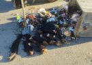 پیدا شدن لاشه دو اسب ذبح شده در سطل آشغال یکی از محله های سقز